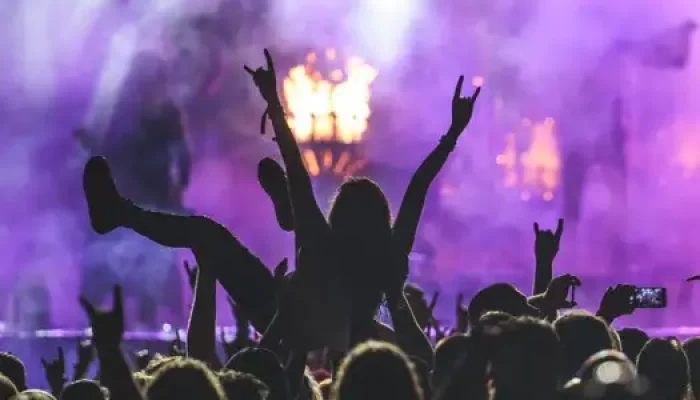 Stage Dive Musikfestival